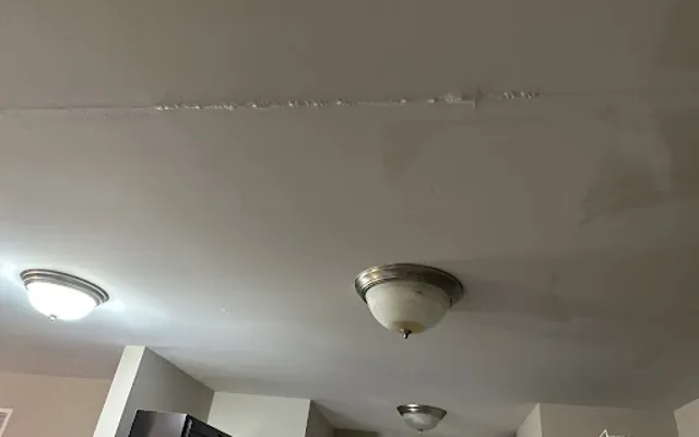 Ceiling Water Damage in Maurice, Louisiana