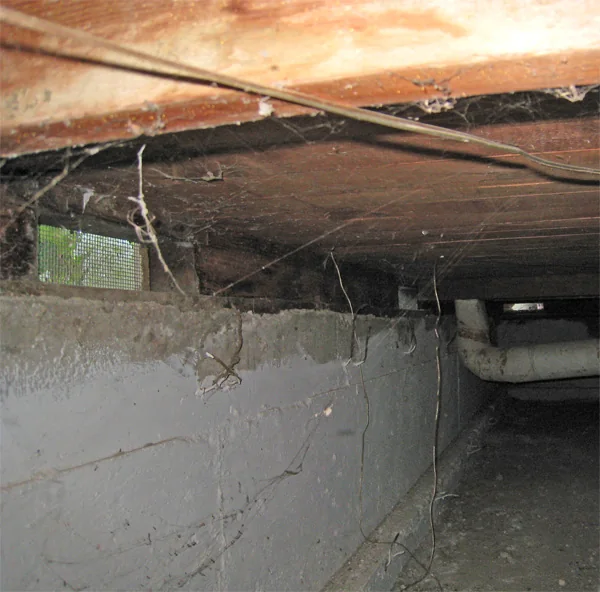 Crawlspace Water Removal in Duson, Louisiana