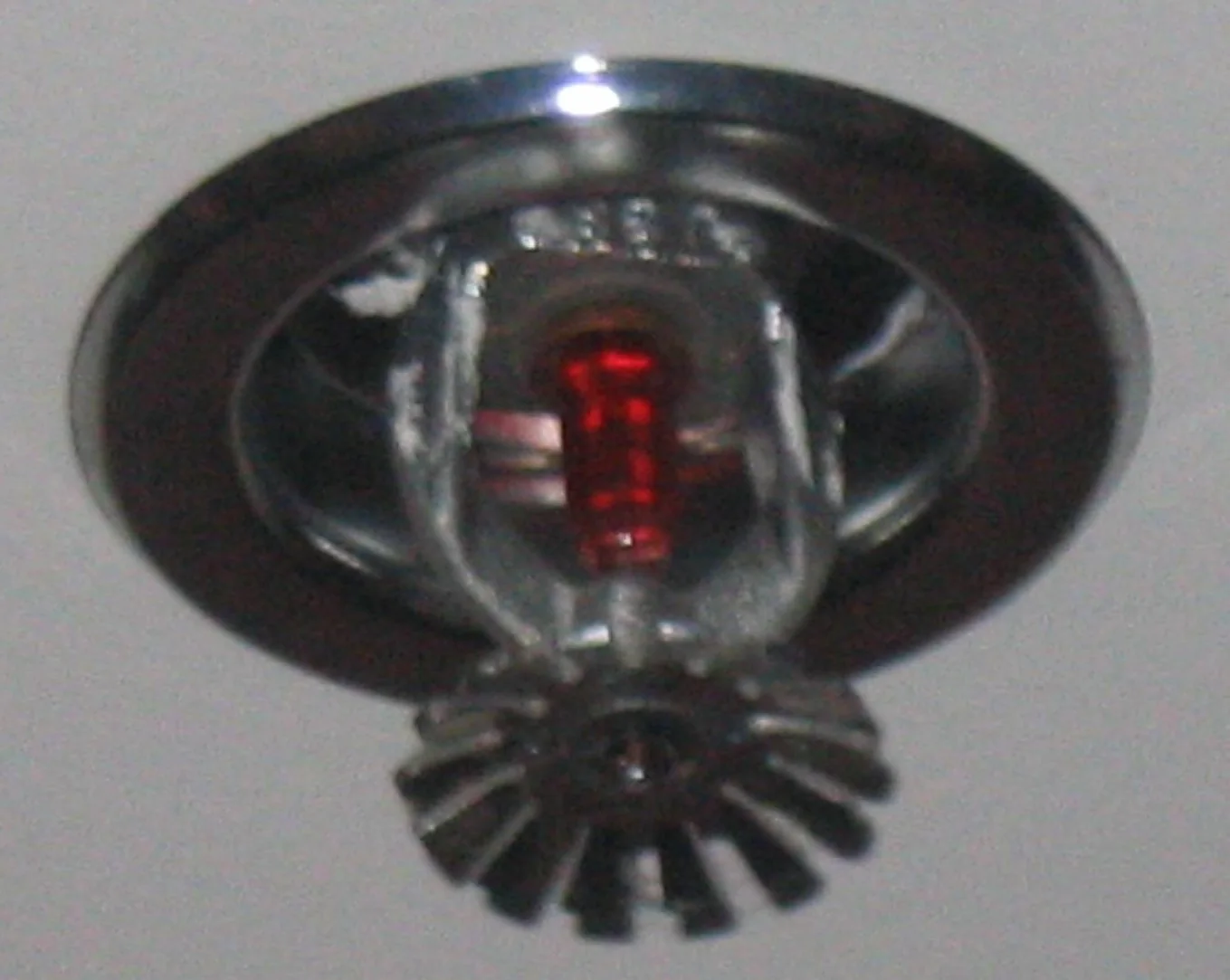 Fire Sprinkler Discharge in Duson, Louisiana
