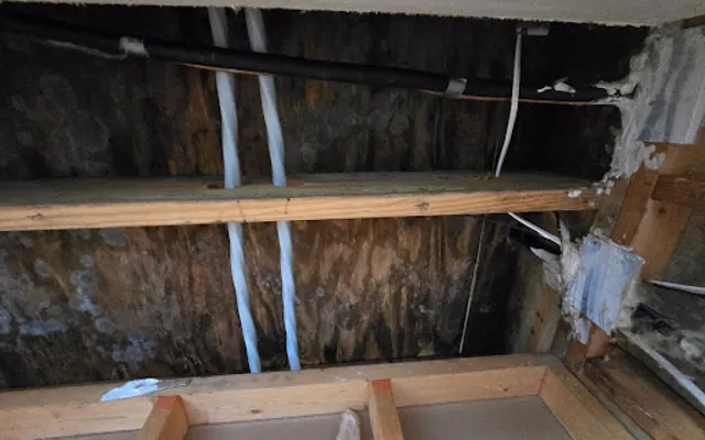 Attic Water Damage in Cade, Louisiana