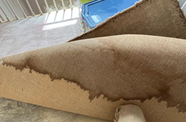 Water Damage, Fire Damage & Mold Remediation Experts in Lafayette, Louisiana