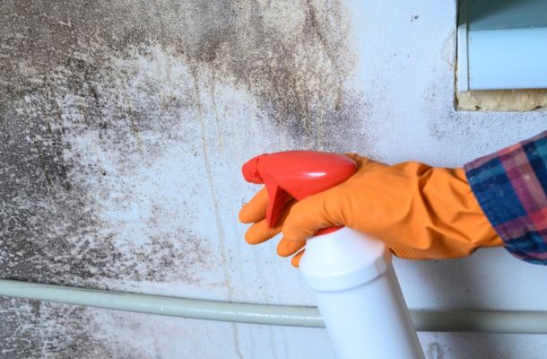 Mold Remediation Lafayette, Louisiana